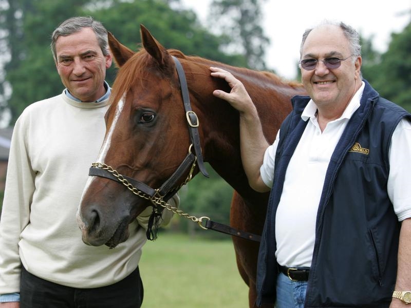 Gallops Makin | Just Horse Racing