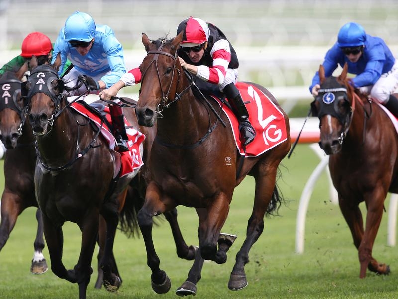 Gallops Missrock | Just Horse Racing