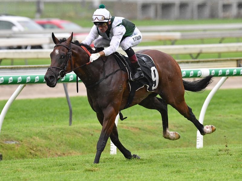 Gallops Randwick | Just Horse Racing