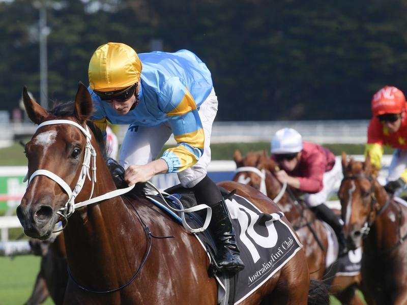 Gallops Reloaded | Just Horse Racing