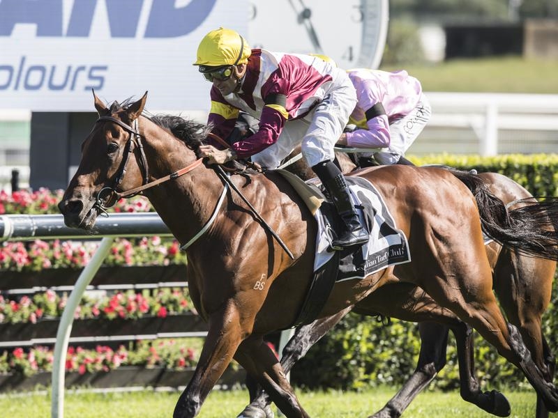 Gallops Scone | Just Horse Racing