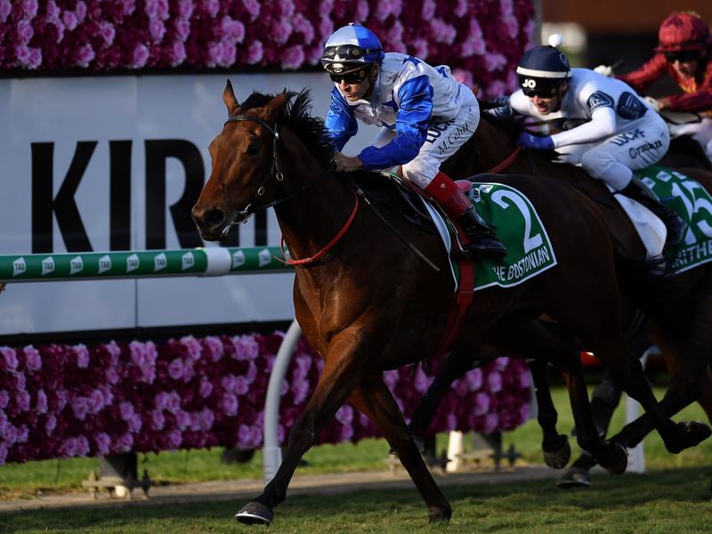 Gallops Stradbroke | Just Horse Racing