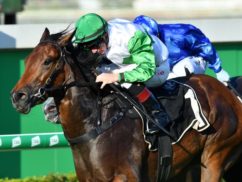 Kingsford | Just Horse Racing