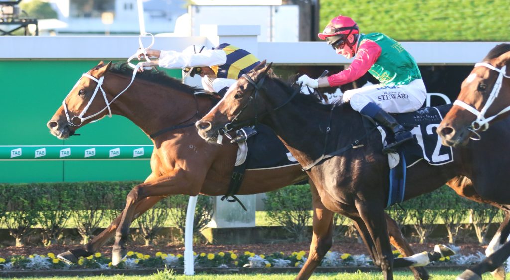 Le Juge (2) | Just Horse Racing