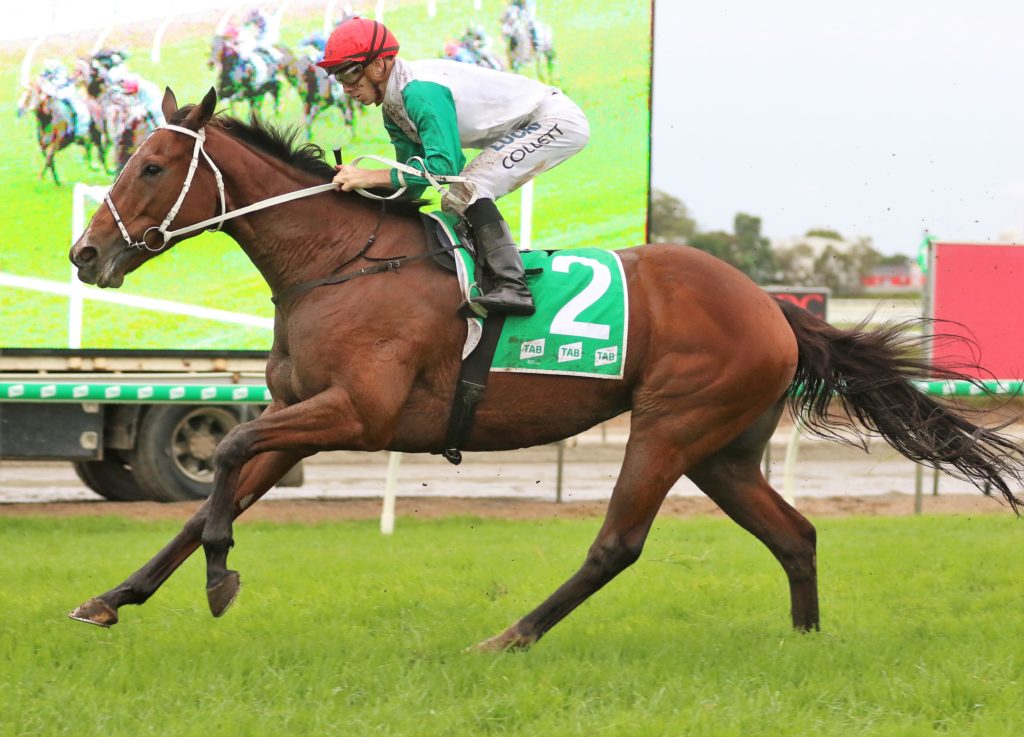 Life Less Ordinary | Just Horse Racing