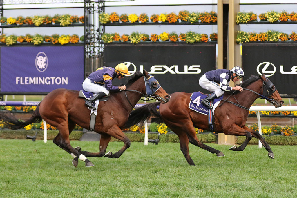 Order Of Command_25-05-2019_WIN_Flemington_7__1041 | Just Horse Racing
