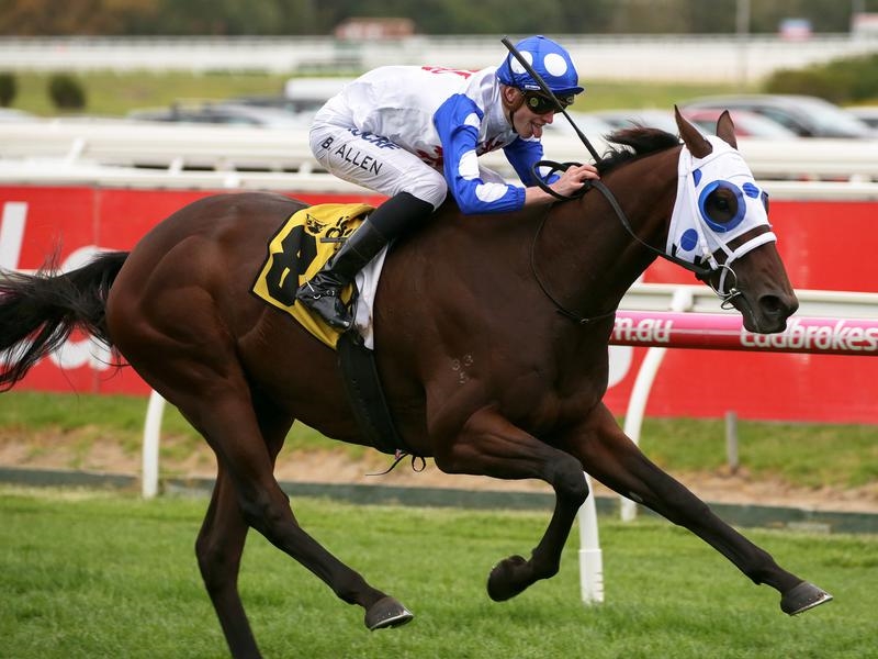SA Derby | Just Horse Racing