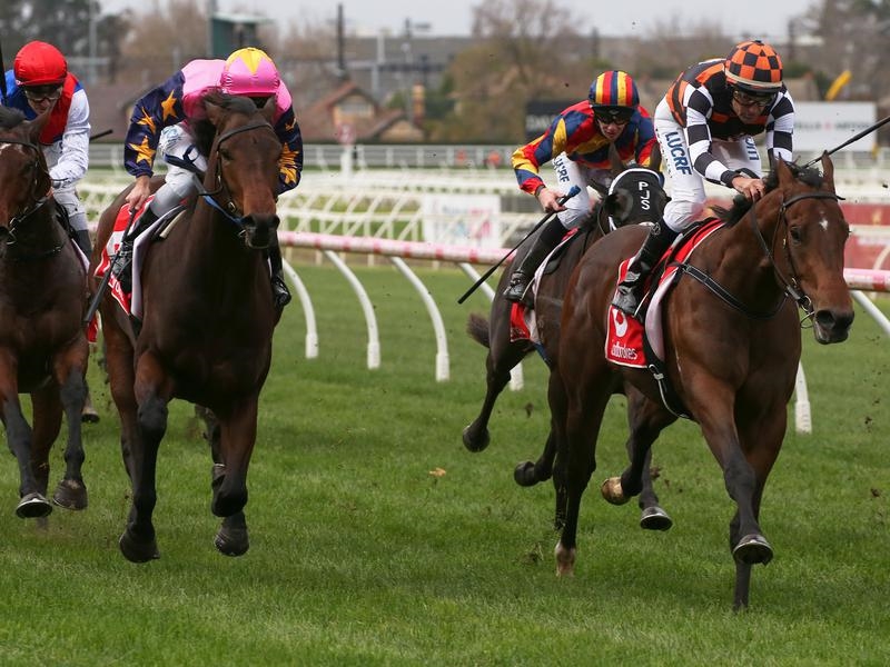 Caulfield Astrologist | Just Horse Racing