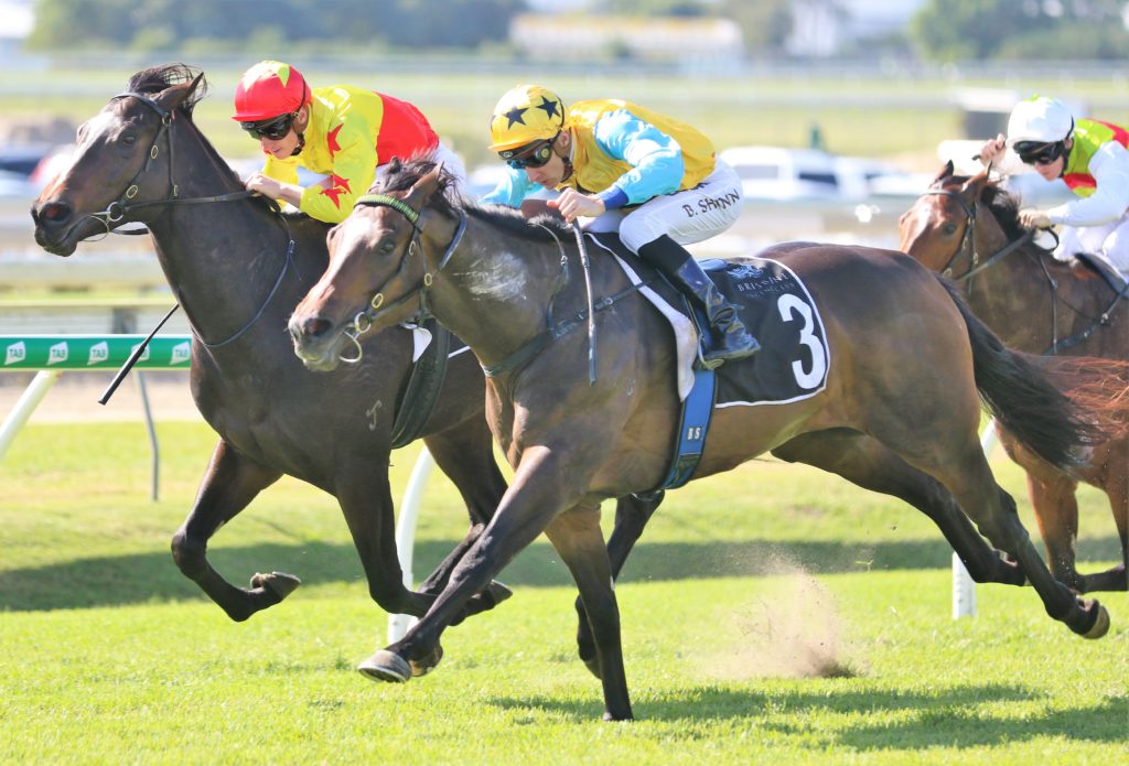 Diamond Thunder (3) | Just Horse Racing