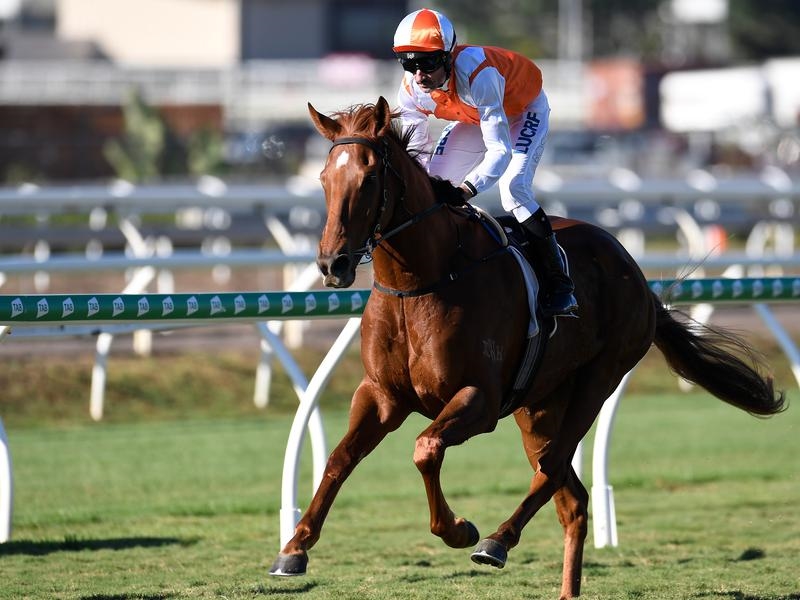 Eagle Farm Vow | Just Horse Racing