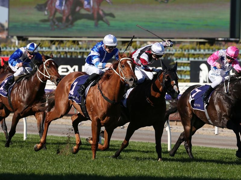 Flemington Preview | Just Horse Racing