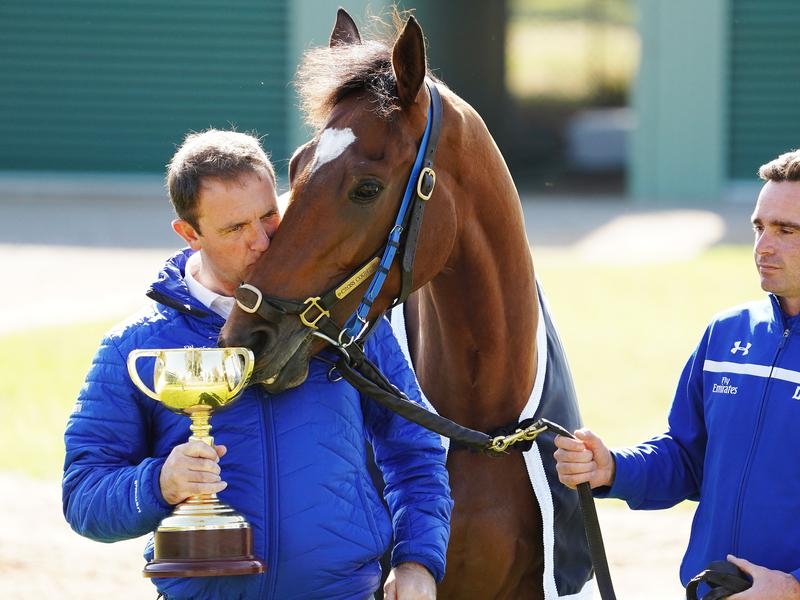 Gallops Cup | Just Horse Racing