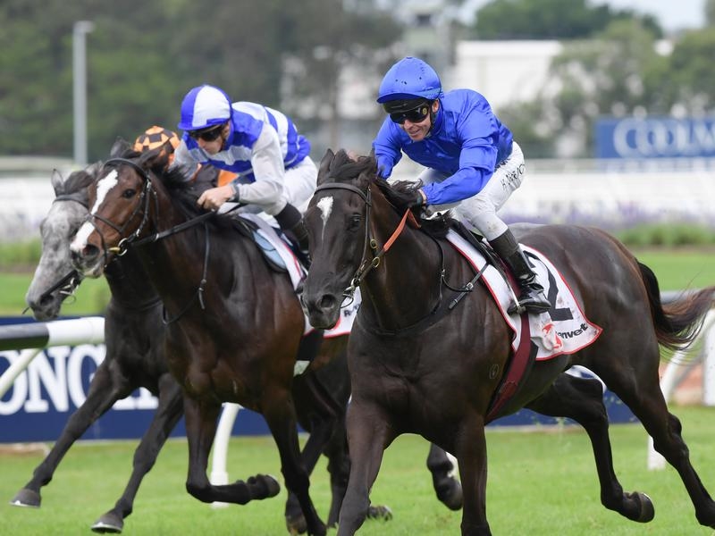 Gallops Eminent | Just Horse Racing