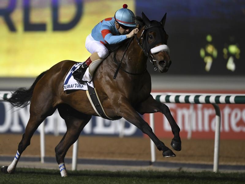 Gallops Plate | Just Horse Racing