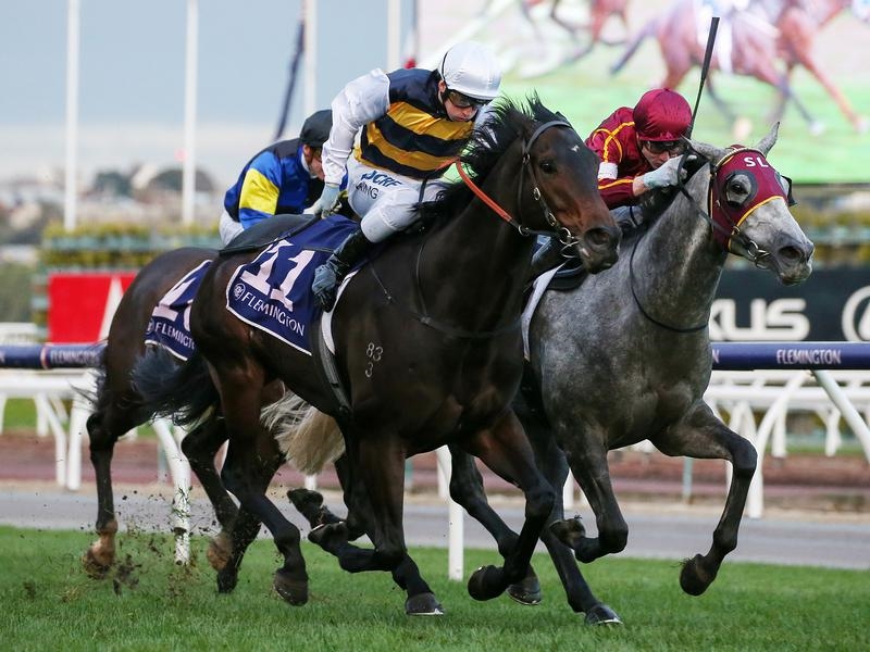 Gallops Romancer | Just Horse Racing