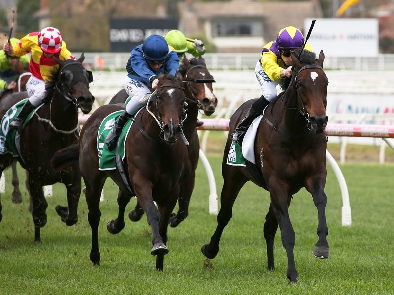 Gallops Sandown | Just Horse Racing