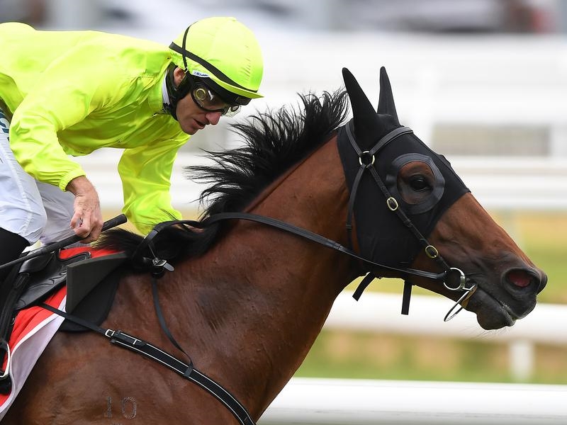Gallops Win | Just Horse Racing