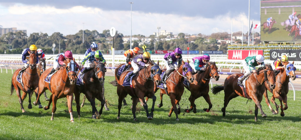Milwaukee_22-06-2019_WIN_Flemington_3__428 | Just Horse Racing