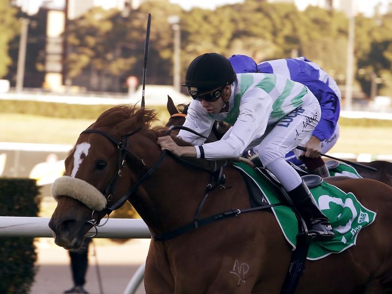 Randwick Preview | Just Horse Racing