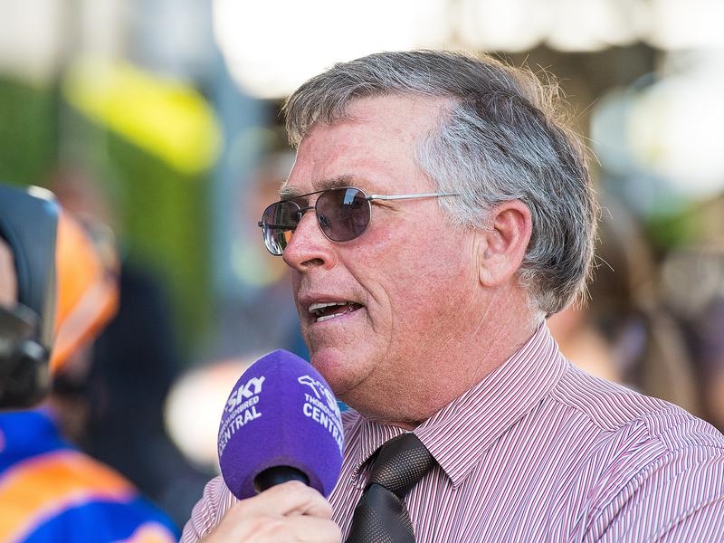 SCoast Glasshouse | Just Horse Racing