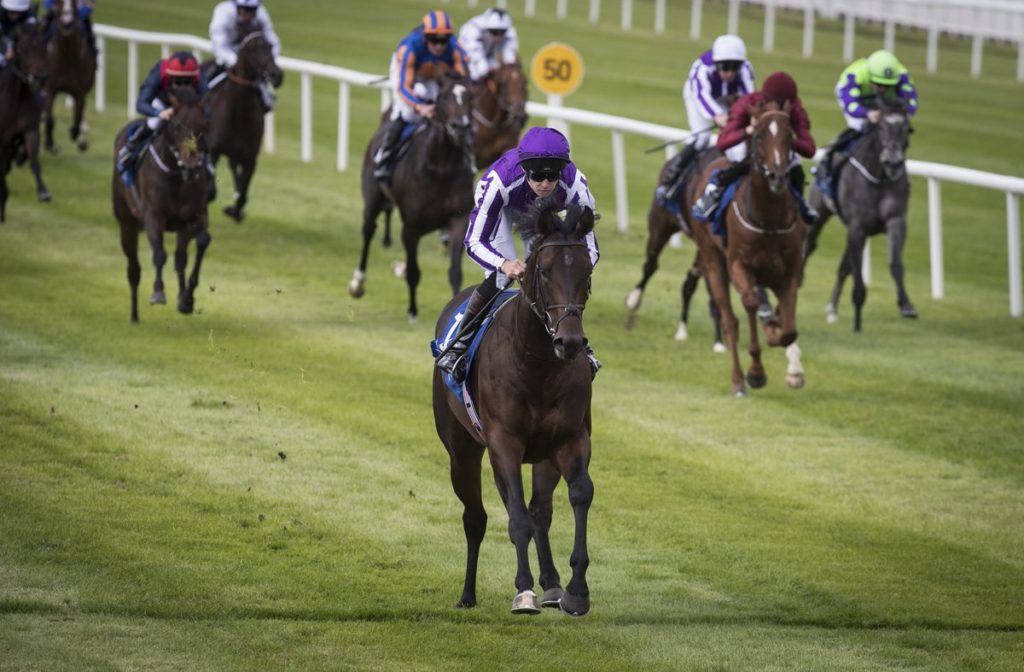 Ten Sovereigns | Just Horse Racing