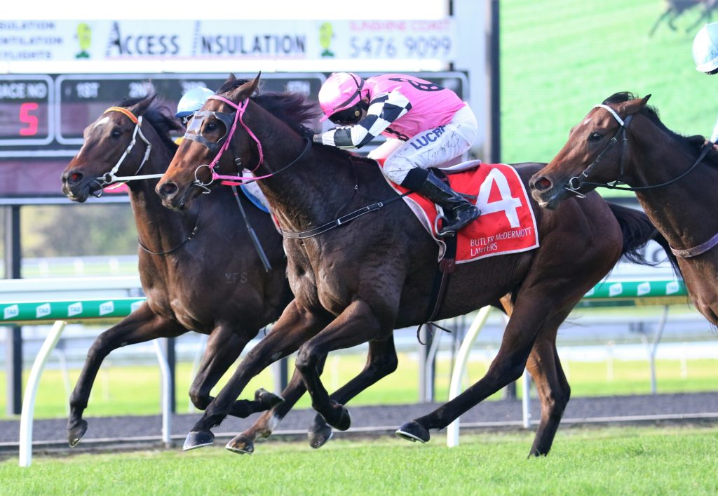 Tisani Magic (2) | Just Horse Racing