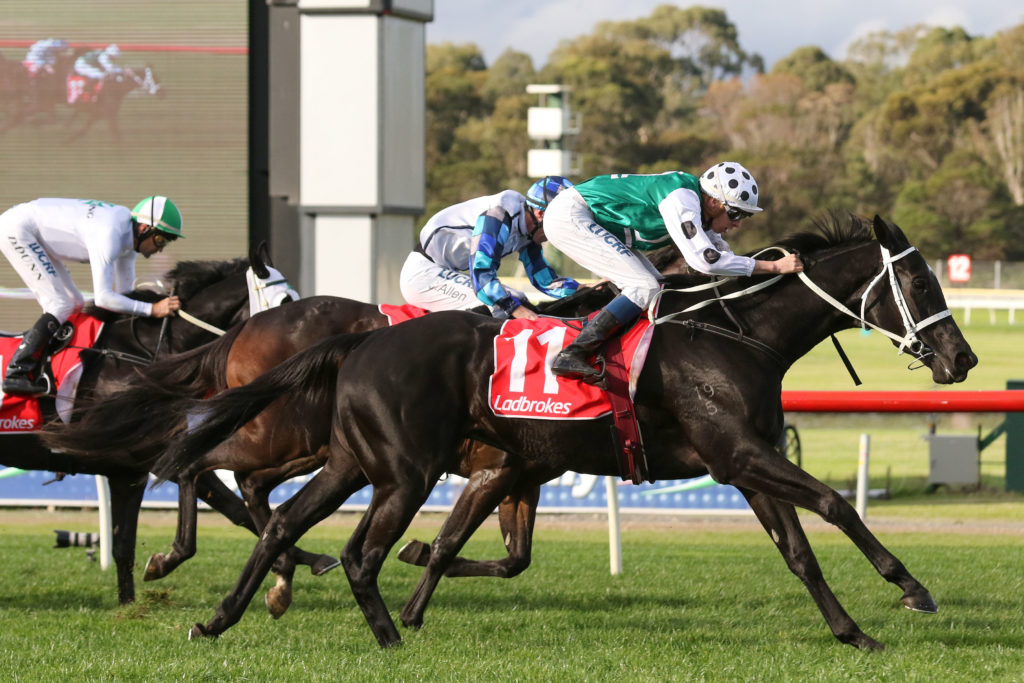 Tysonic_15-06-2019_WIN_Sandown_6__925 | Just Horse Racing