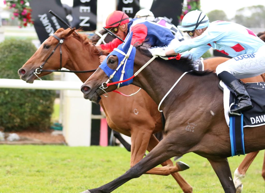 Winning Ways (1) | Just Horse Racing