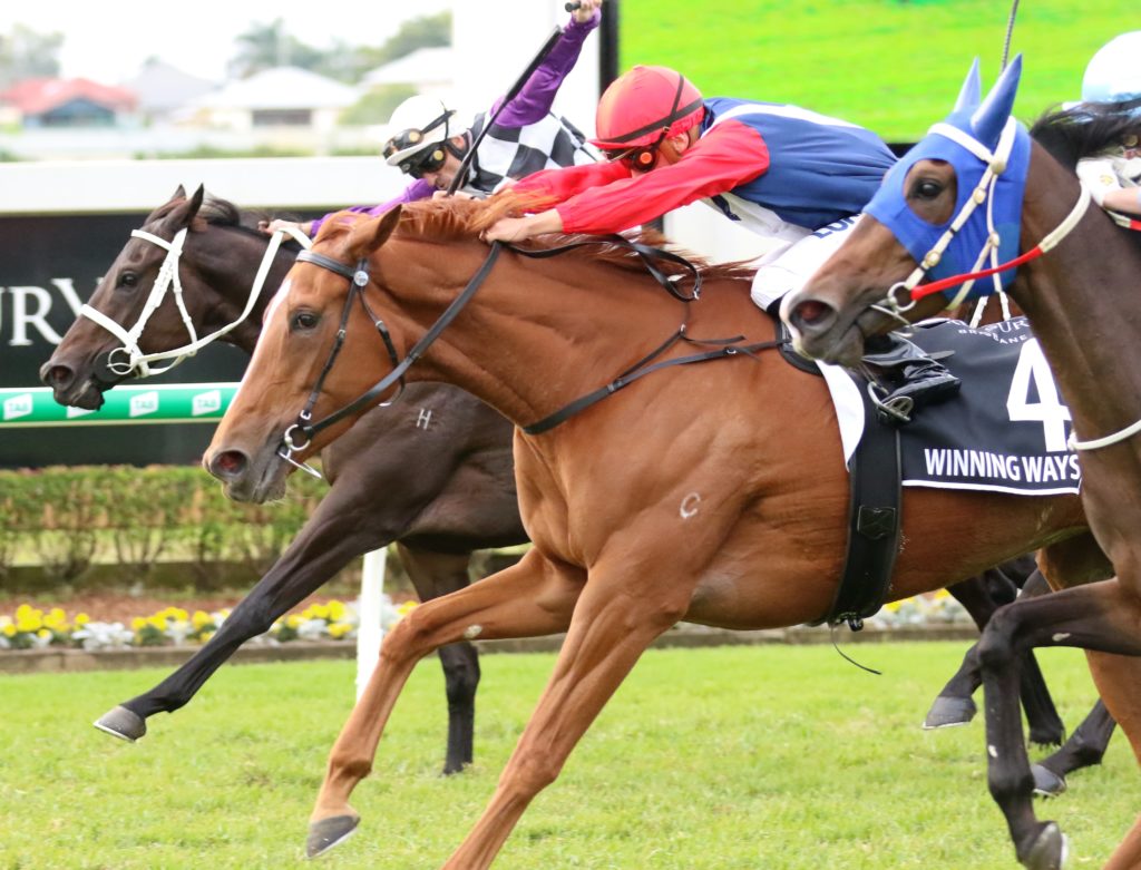 Winning Ways (2) | Just Horse Racing