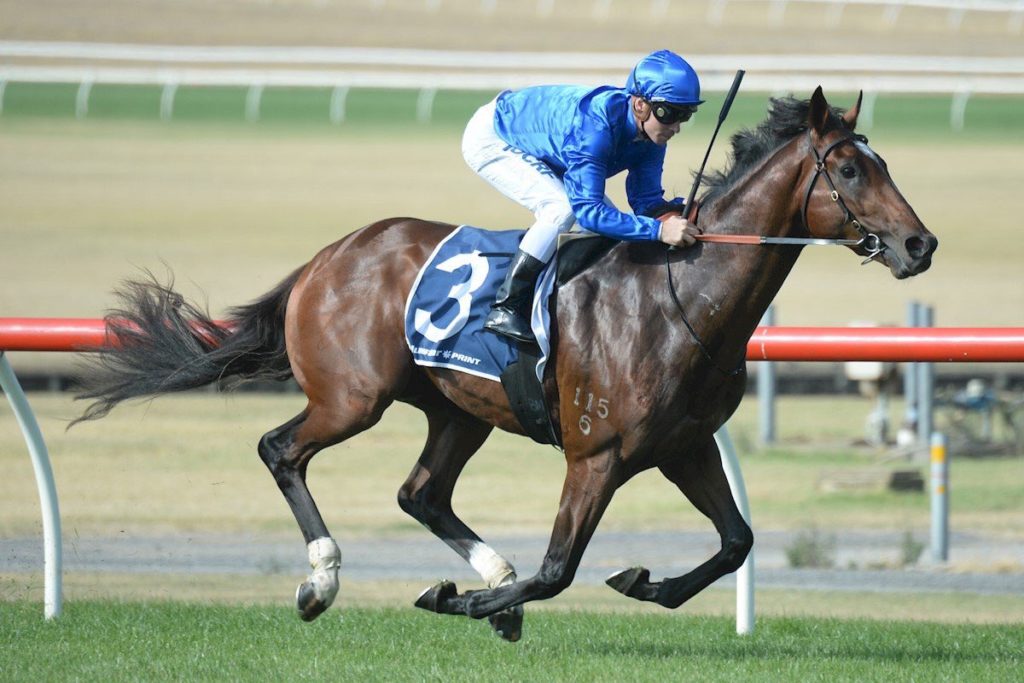 Chenier | Just Horse Racing