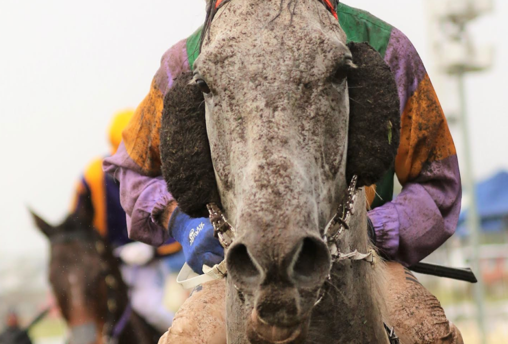 Doomben abandoned | Just Horse Racing