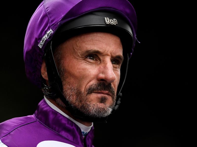 Doomben Boss | Just Horse Racing