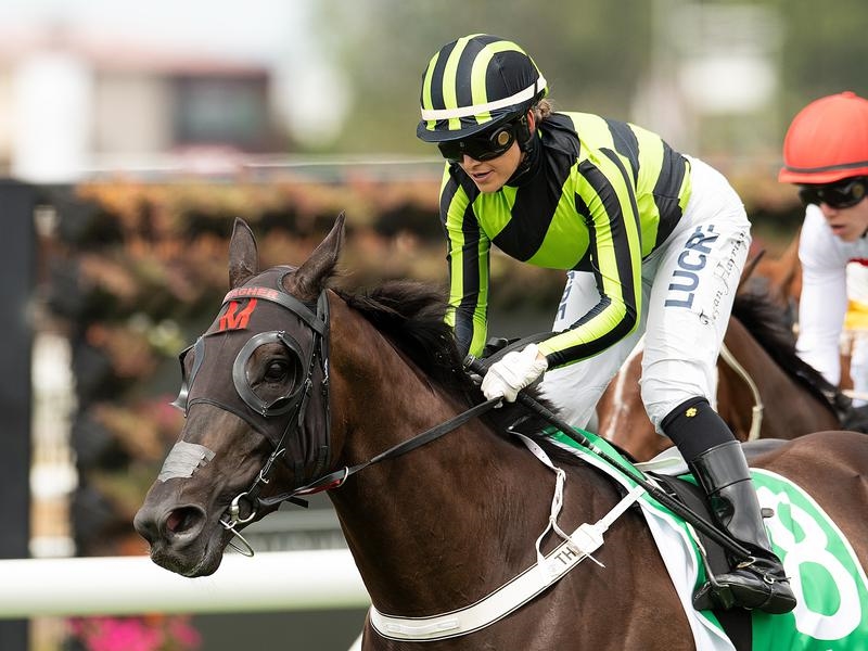 Doomben Preview | Just Horse Racing
