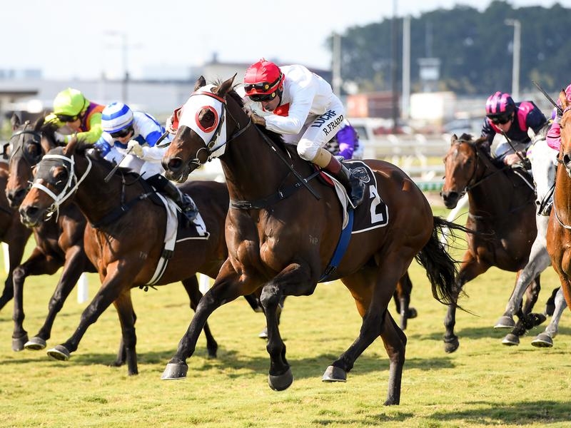 EFarm Mantra | Just Horse Racing