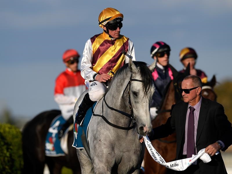 EFarm Silvera | Just Horse Racing