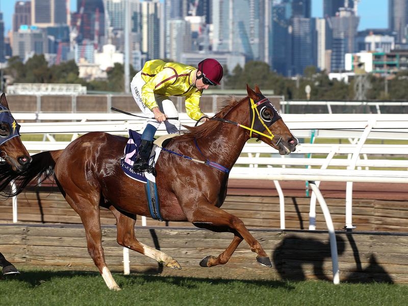 Gallops Caulfield | Just Horse Racing