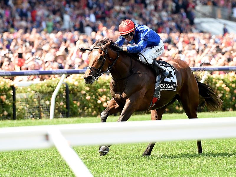 Gallops Goodwood | Just Horse Racing