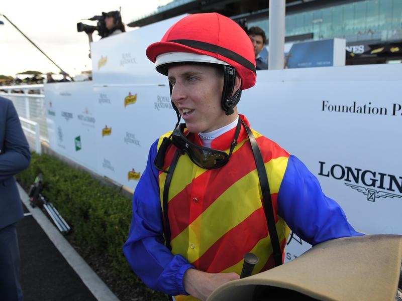 Gallops Lane | Just Horse Racing