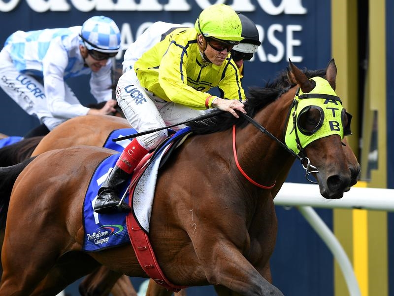 Gallops Maher | Just Horse Racing