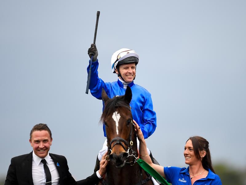 Gallops McEvoy | Just Horse Racing
