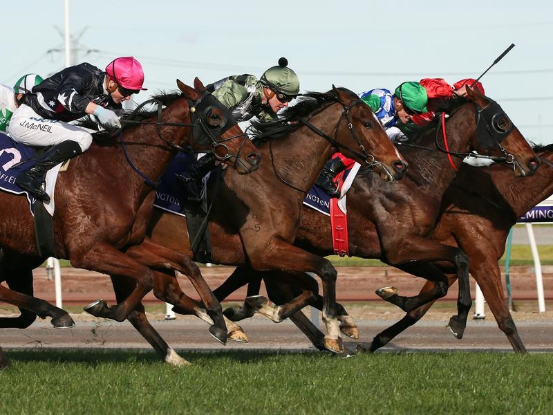 Gallops Melham | Just Horse Racing