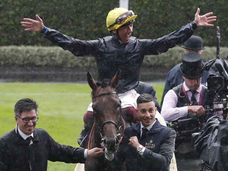 Gallops Ocean | Just Horse Racing