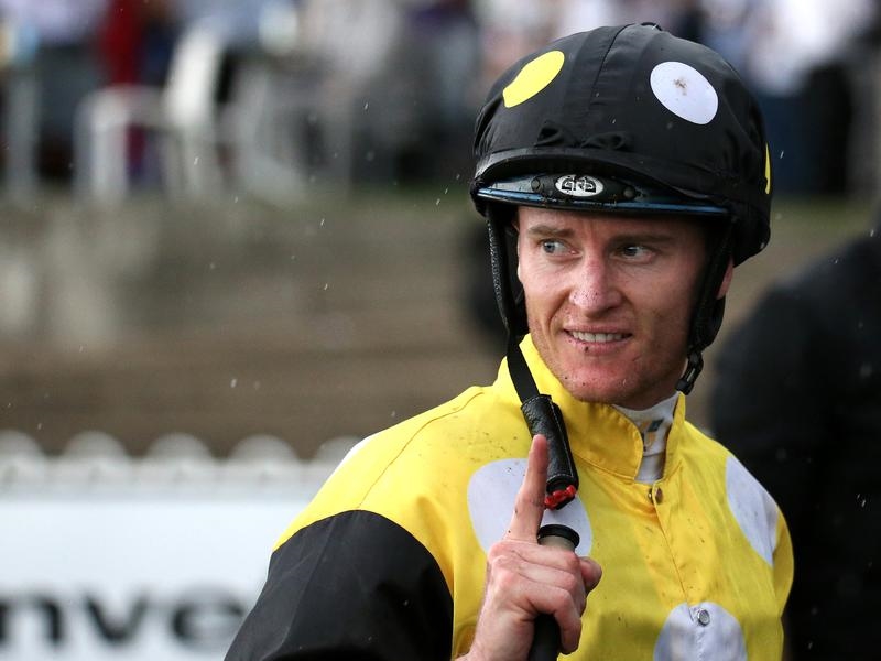 Gallops Purton | Just Horse Racing