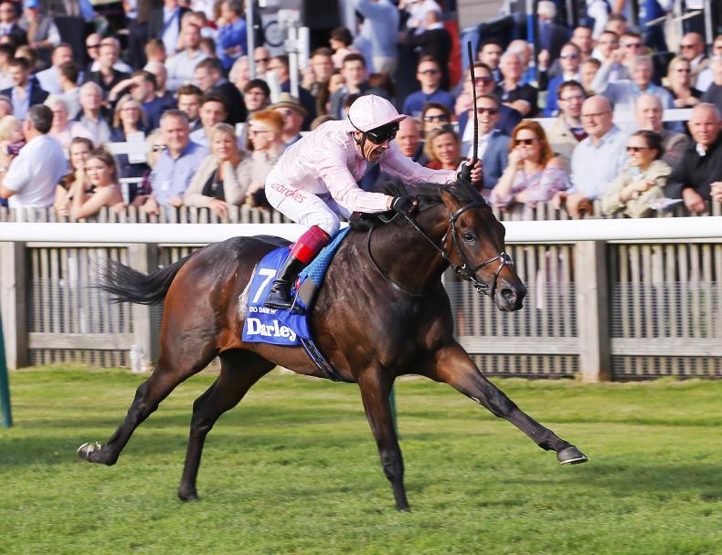 Too Darn Hot | Just Horse Racing