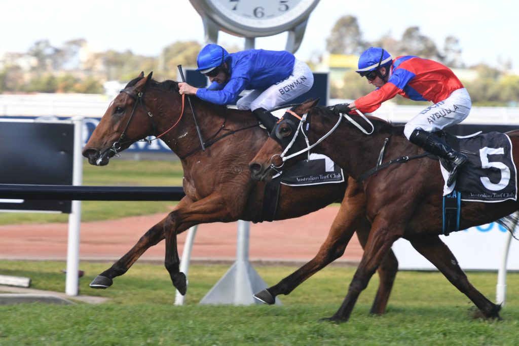 Alizee 100819 6545 | Just Horse Racing
