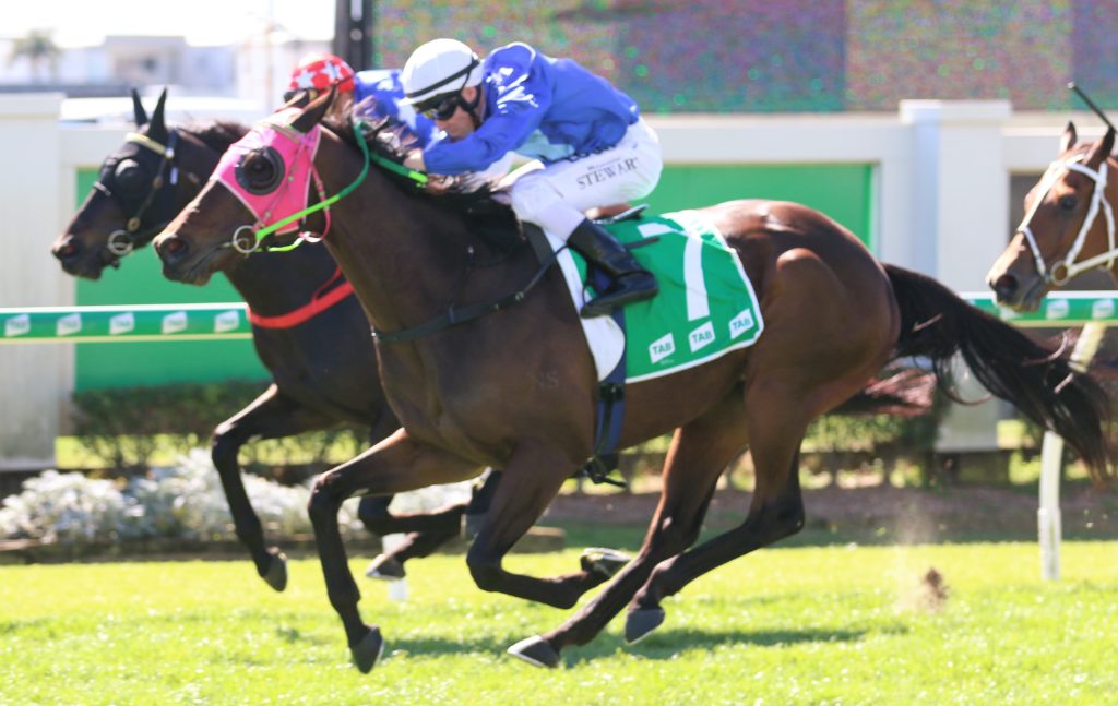 Calypso Bay (2) | Just Horse Racing