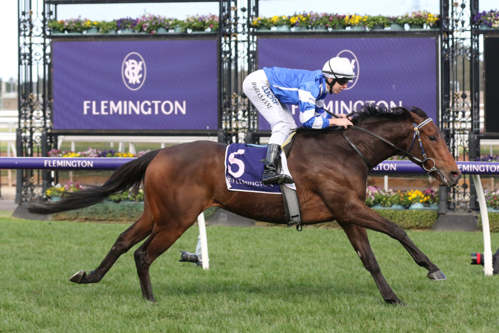 Charossa_10-08-2019_WIN_Flemington_5__652 | Just Horse Racing