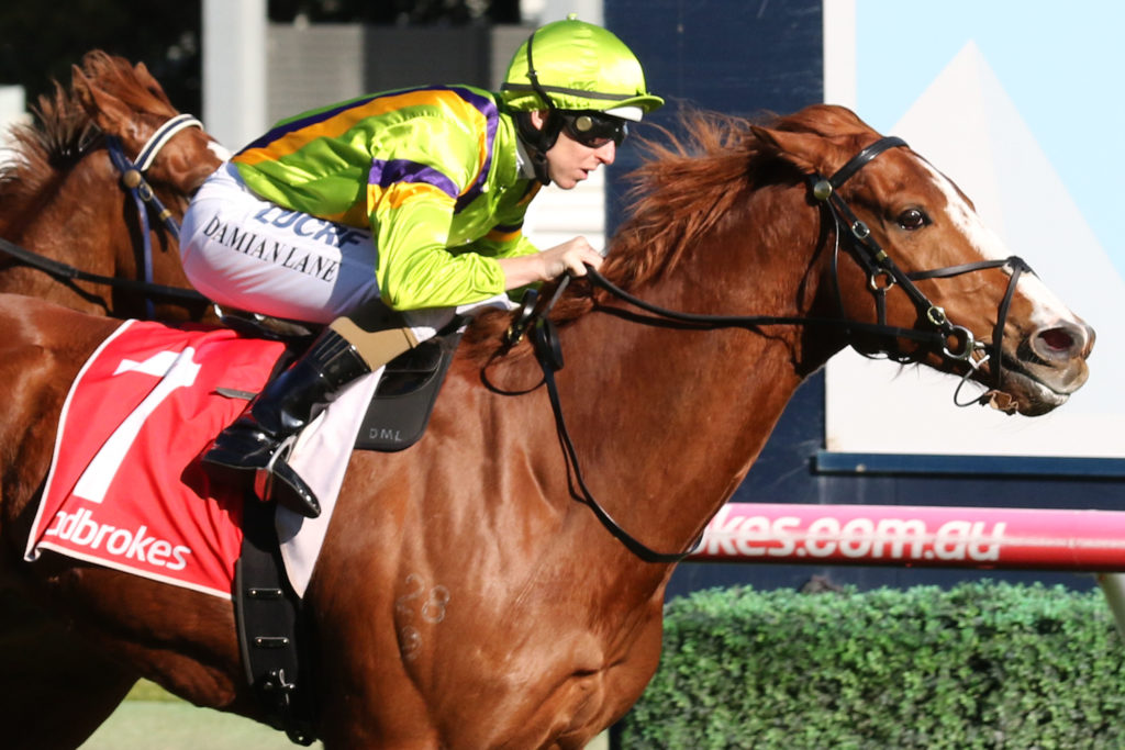 Crystal Dreamer,The Heath 1100,Group 3_31-08-2019_WIN_Caulfield_6__962 | Just Horse Racing