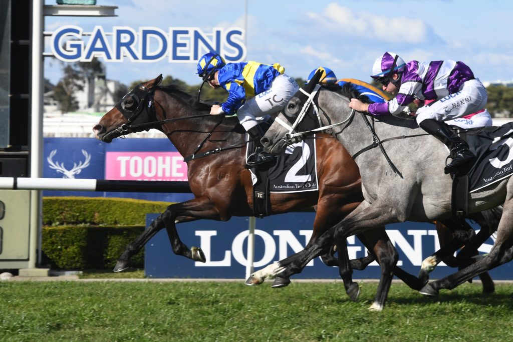 Dawn Passage 100819 6684 | Just Horse Racing