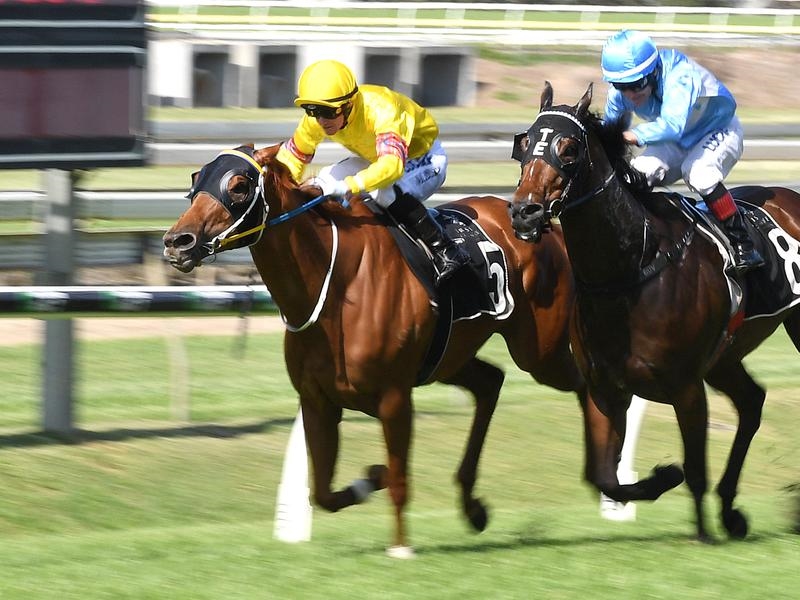 Doomben Preview | Just Horse Racing